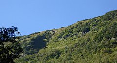 0153_TZ60_P1140301_cr