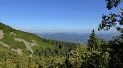 0172_TZ60_P1140305_cr