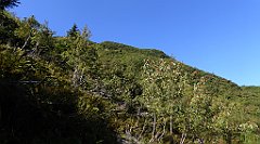 0183_TZ60_P1140317_cr