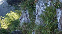 0194_TZ60_P1140326_cr