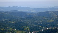 0201_TZ60_P1140338_cr