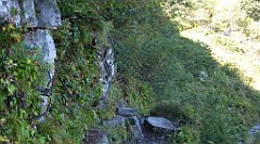 0218_TZ60_P1140356_cr