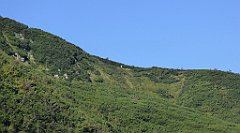 0221_TZ60_P1140359_cr