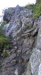 0237_TZ60_P1140370_cr