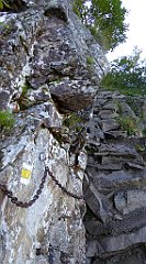 0241_TZ60_P1140373_cr