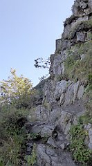 0250_TZ60_P1140382_cr