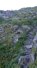 0251_TZ60_P1140383_cr