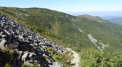 0298_TZ60_P1140415_cr