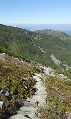 0304_TZ60_P1140421_cr