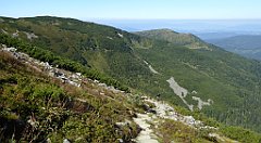 0305_TZ60_P1140422_cr