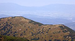 0308_TZ60_P1140425_cr