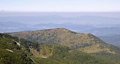 0317_TZ60_P1140433_cr