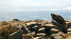 0354b_3D_P1110404_cr