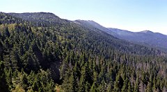 0569_TZ60_P1140551_cr