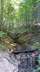 0614_TZ60_P1140575_cr