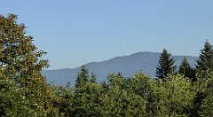 058_TZ60_P1140621_cr