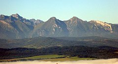 083_TZ60_P1140634_cr