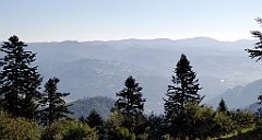 110_TZ60_P1140659_cr