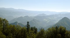 188_TZ60_P1140717_cr