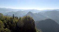 190_TZ60_P1140719_cr