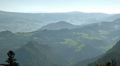 192_TZ60_P1140721_cr