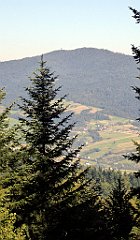 208_TZ60_P1140733_cr