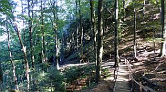 228_TZ60_P1140743_cr