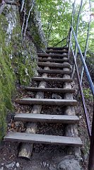 231_TZ60_P1140746_cr