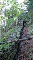 256_TZ60_P1140764_cr