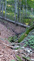 263_TZ60_P1140771_cr