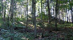 271_TZ60_P1140774_cr