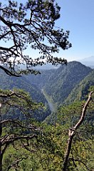 322_TZ60_P1140783_cr