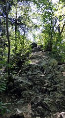 339_TZ60_P1140789_cr