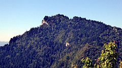 405_TZ60_P1140801_cr