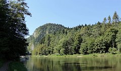 471_TZ60_P1140824_cr