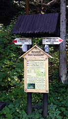 488_TZ60_P1140839_cr