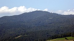 513_TZ60_P1140847_cr