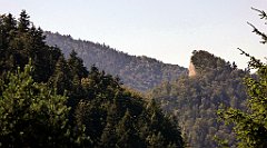 519a_TZ60_P1140854_cr