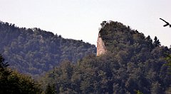 521_TZ60_P1140853_cr