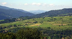 540_TZ60_P1140871_cr