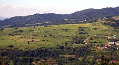 541_TZ60_P1140873_cr