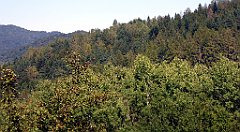 544_TZ60_P1140877_cr