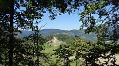 567_TZ60_P1140891_cr