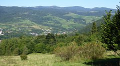 598_TZ60_P1140911_cr