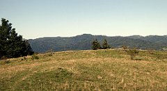 642_TZ60_P1140939_cr