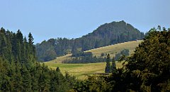 648_TZ60_P1140946_cr