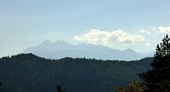 667_TZ60_P1140958_cr