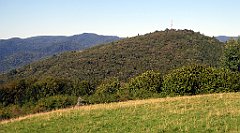 683_TZ60_P1140967_cr