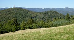 698_TZ60_P1140978_cr