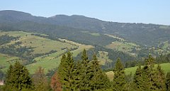 711_TZ60_P1140986_cr